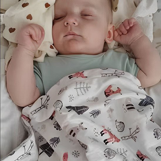couverture bébé renard bébé endormi couvert