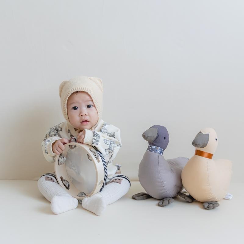 doudou canard jaune et canard gris bébé